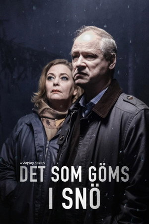 То, что спрятано под снегом (2018)