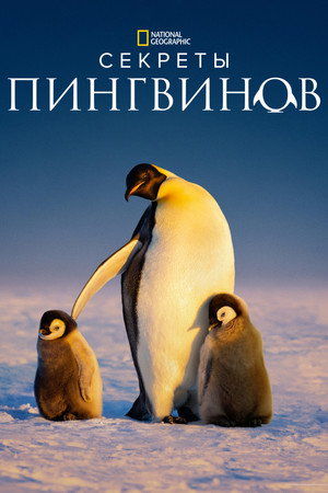 Тайны пингвинов (2025)
