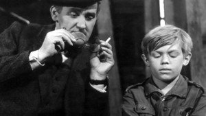 Невероятные приключения Марека Пегуса (сериал, 1966)