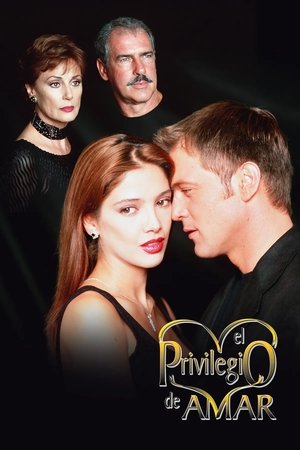 Привилегия любить (1998)