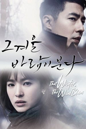 Этой зимой дует ветер (2013)